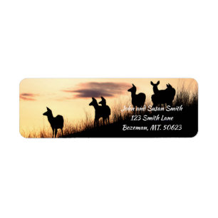 Étiquette Deer on Hillside at Sunset Retours Adresse Étique