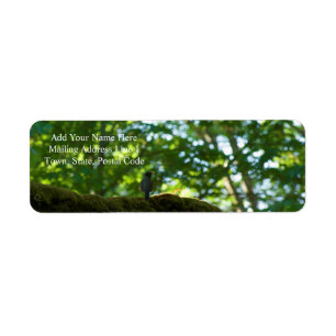 Étiquette Dépassement de forêt