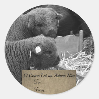 Étiquette des agneaux de Noël