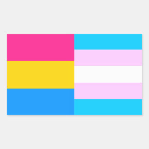 Étiquette des drapeaux Pansexual/trans pride