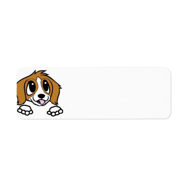 Étiquette dessin animé saint-bernard orange blanc qui regard (Devant)