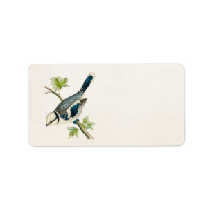Étiquette Dessin bleu d'oiseaux d'oiseau chanteur d'oiseau
