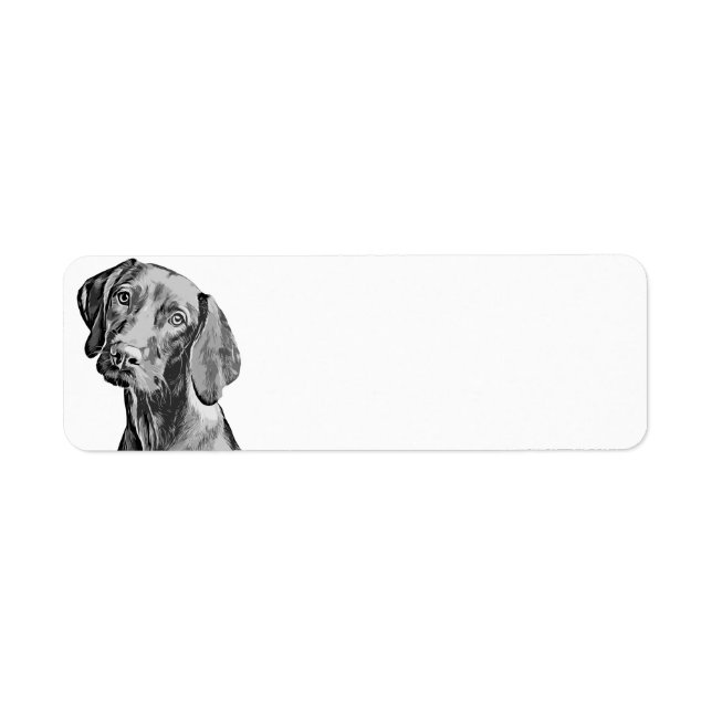 Étiquette Dessin de Vizsla (Devant)
