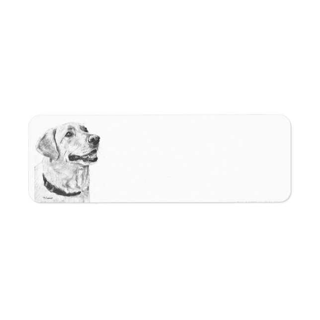Étiquette Dessin Labrador Retriever (Devant)