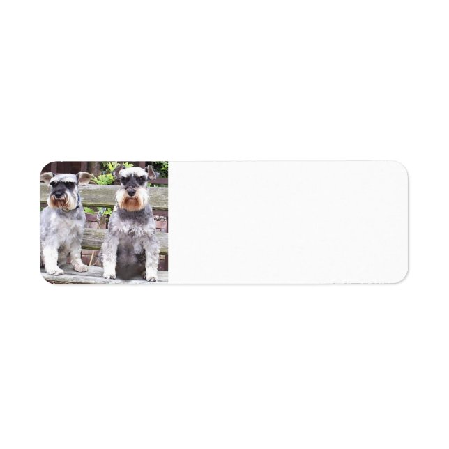 Étiquette Deux_schnauzers_miniatures (Devant)