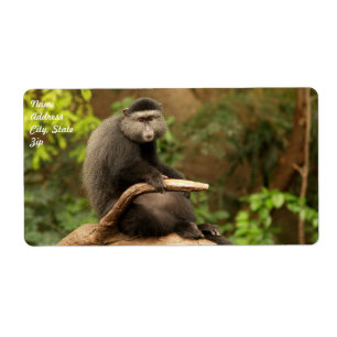 Étiquette d'expédition de singe