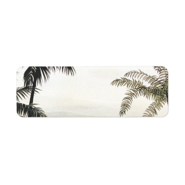 Étiquette Dinosaures Vintage, Amargasaurus avec Palmiers (Devant)