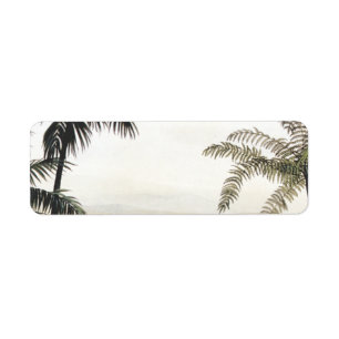 Étiquette Dinosaures vintages, Amargasaurus aux palmiers