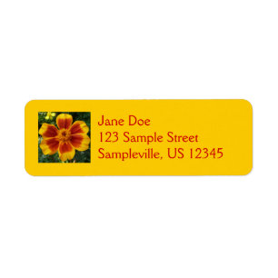 Étiquette Disco Marigold Orange et Rouge Fleur d'été