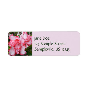 Étiquette Double rouge et blanc Azaleas printemps floral