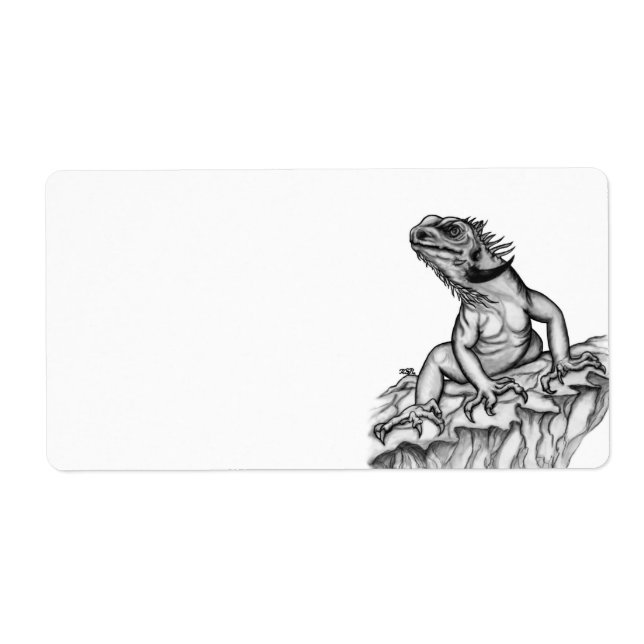 Étiquette Dragon sur le rocher (Devant)