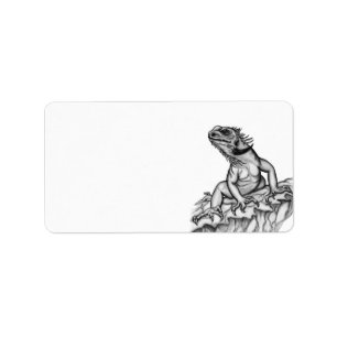 Étiquette Dragon sur le rocher