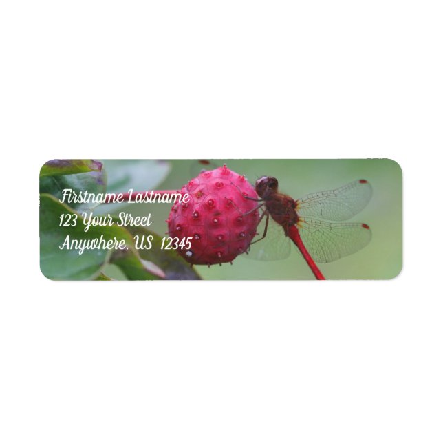 Étiquette Dragonfly Rouge sur Dogwood Fruits Adresse (Devant)