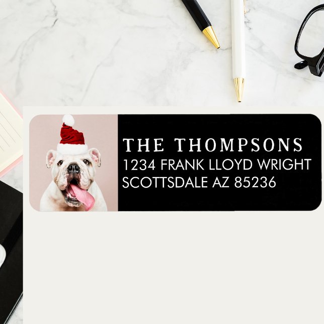 Étiquette Drôle Chien photo Carte de Noël Adresse de retour (Créateur téléchargé)