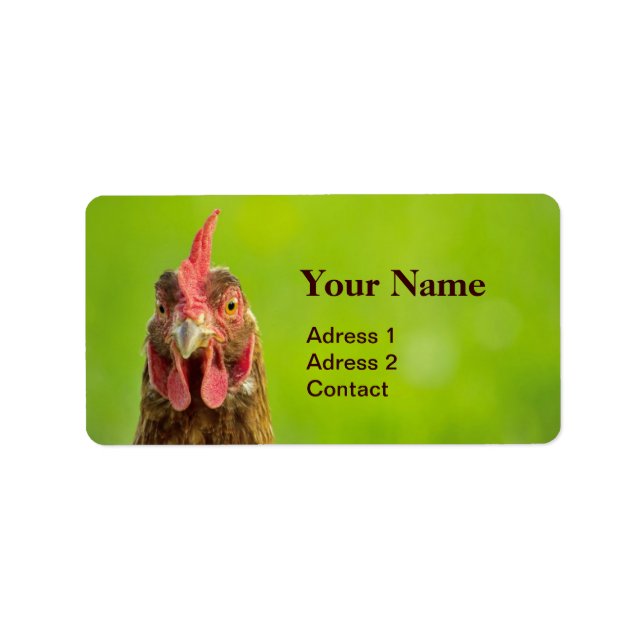 Étiquette Drôle poulet sur vert (Devant)
