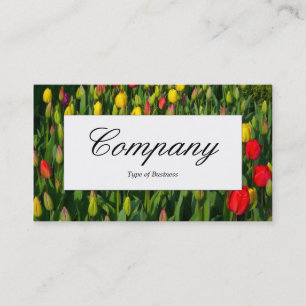 Étiquette du centre - Tulipes colorées