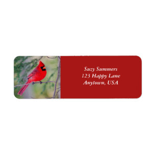 Étiquette du contraste cardinal