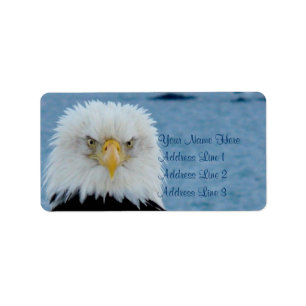 Étiquette Eagle chauve grincheux