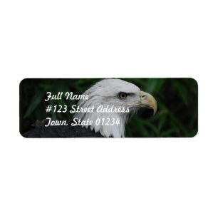 Étiquette Eagle rostré pointu