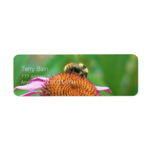 Étiquette Echinacea
