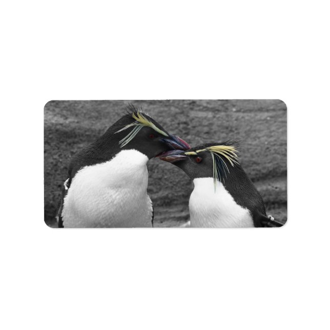Étiquette Éclaboussure de couleur de pingouin (Devant)