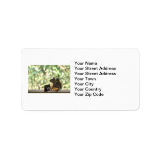 Étiquette Écureuil Jouer Piano