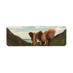 Étiquette Eléphant