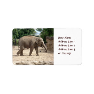 Étiquette Éléphant asiatique marchant sur l'étiquette