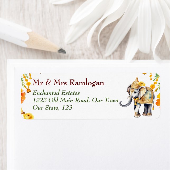 Étiquette éléphant décoré en Inde (En situation)