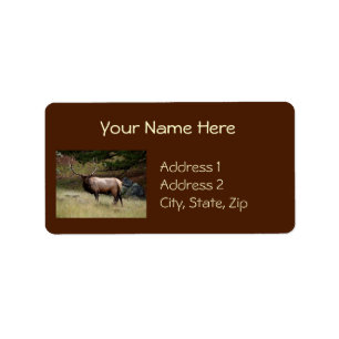 Étiquette Elk dans le désert