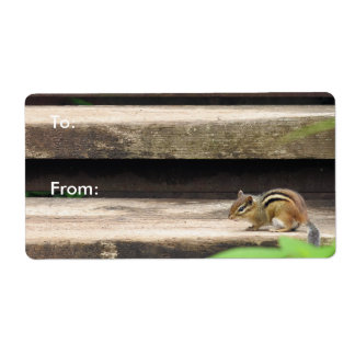 Étiquette Escaliers Escalades Chipmunk