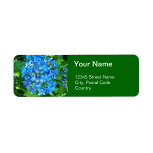 Étiquette été bleu hydrangea fleurs et ses feuilles verts