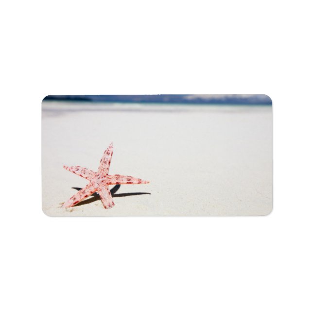 Étiquette Étoile de mer sur la plage (Devant)