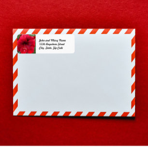 Étiquette Festive Red Amaryllis Floral Adresse de retour