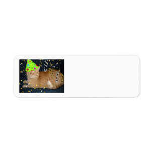 Étiquette Fête d'anniversaire Orange Tabby Cat