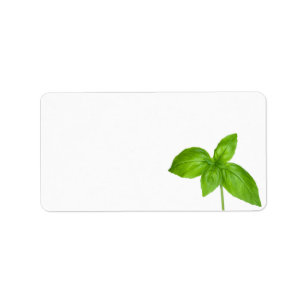 Étiquette Feuilles Basil Isolé Sur Arrière - plan Blanc