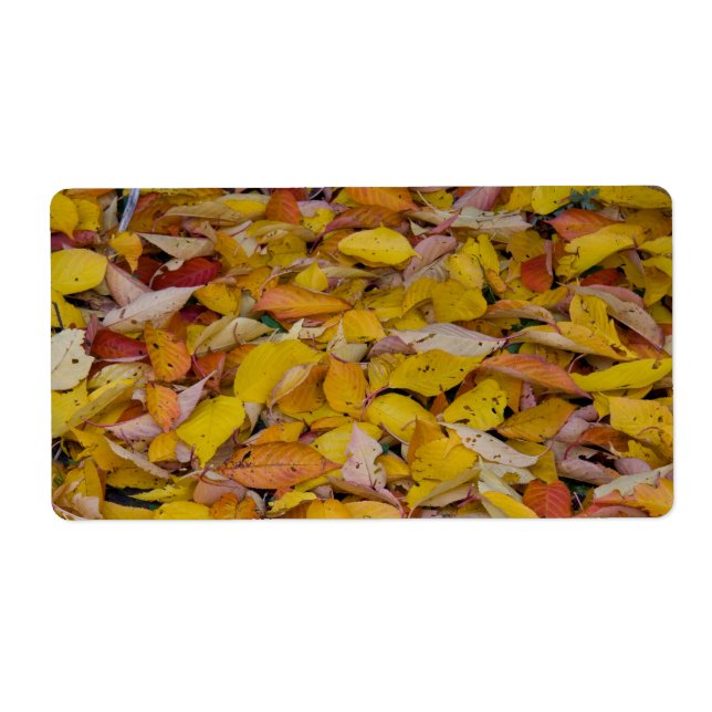 Étiquette Feuilles d'automne tombées (Devant)