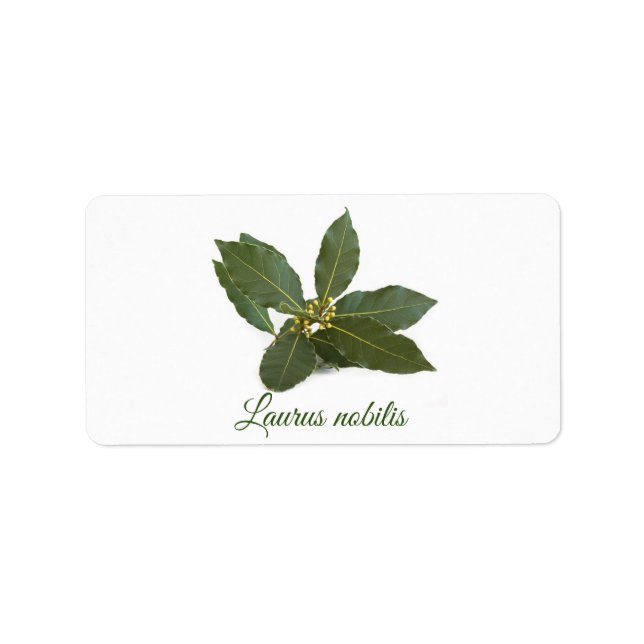 Étiquette Feuilles de laurier frais (Devant)
