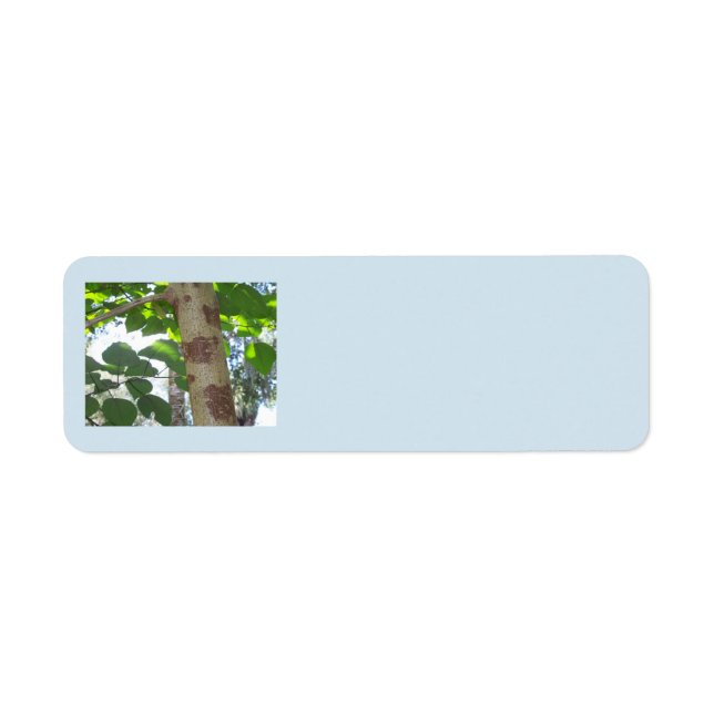 Étiquette feuilles verts et tronc d'arbre avec écorce cool (Devant)