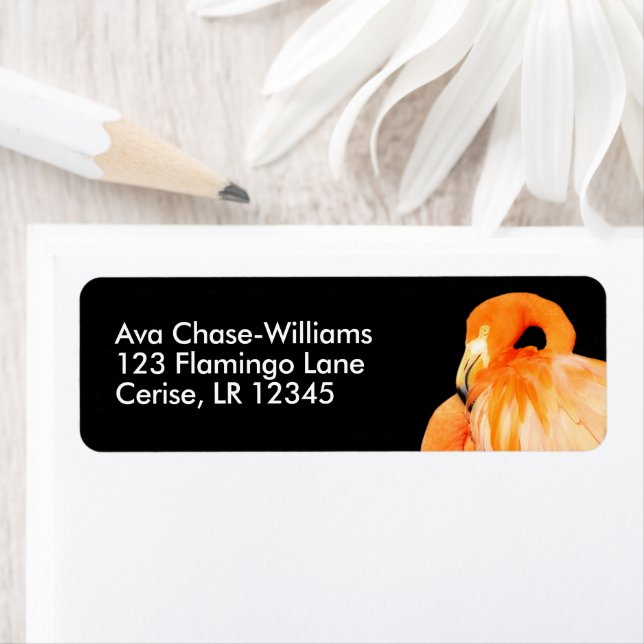Étiquette Flamant rose au soleil d'été (En situation)