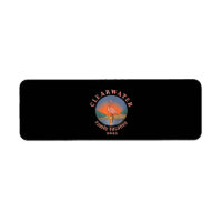 Flamant rose Clearwater Vacation 2021 | Flamant ro