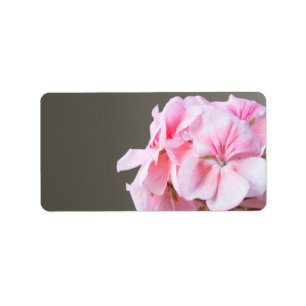 Étiquette Fleur de géranium rose