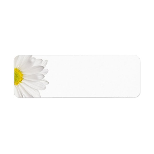 Étiquette Fleur de marguerite blanche Arrière - plan de marg (Devant)