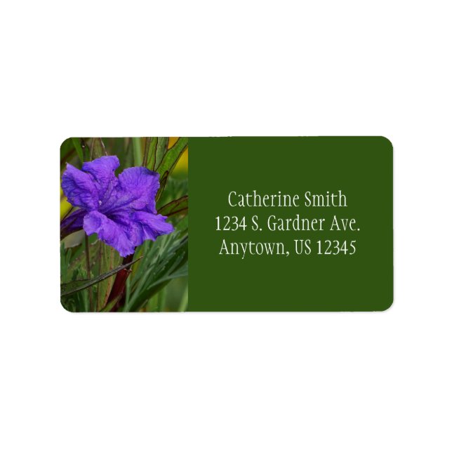 Étiquette Fleur de pétunia mexicaine / Violet bleu & vert / (Devant)