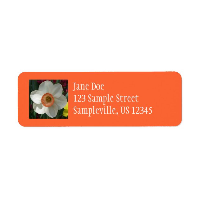 Étiquette Fleur de printemps de jonquille rose (Devant)