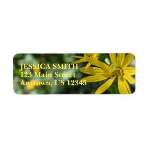 Étiquette Fleur Jaune Fleur Florale Nature Photographie
