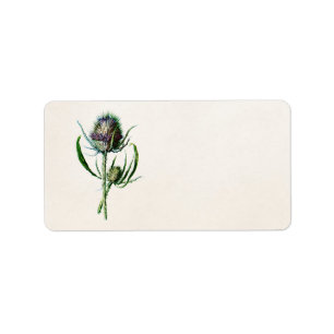 Étiquette Fleur sauvage de vieux chardon écossais du cru