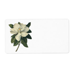 Étiquette Fleurs blanches de floraison de fleur de magnolia