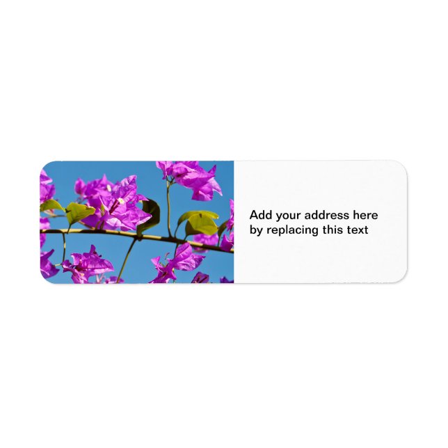 Étiquette Fleurs de Bougainvilliers (Devant)