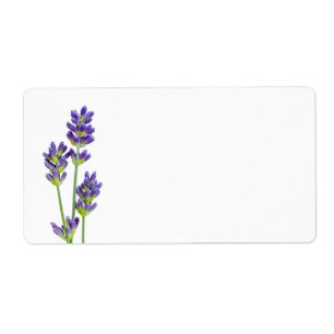Étiquette Fleurs de lavande d'isolement sur l'arrière - pla